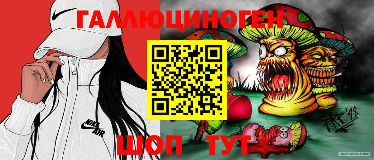 Зеленодольск  Псилоцибиновые грибы Psilocybine cubensis  Вход с VPN  Псилоцибиновые грибы Psilocybine cubensis 